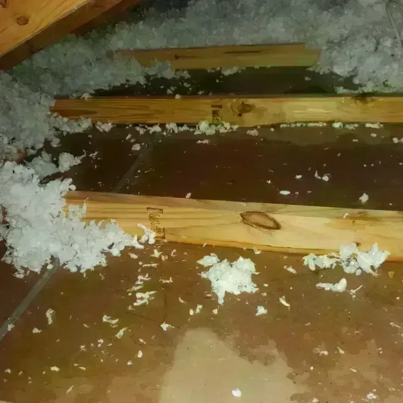 Attic Water Damage in Fort Recovery, OH