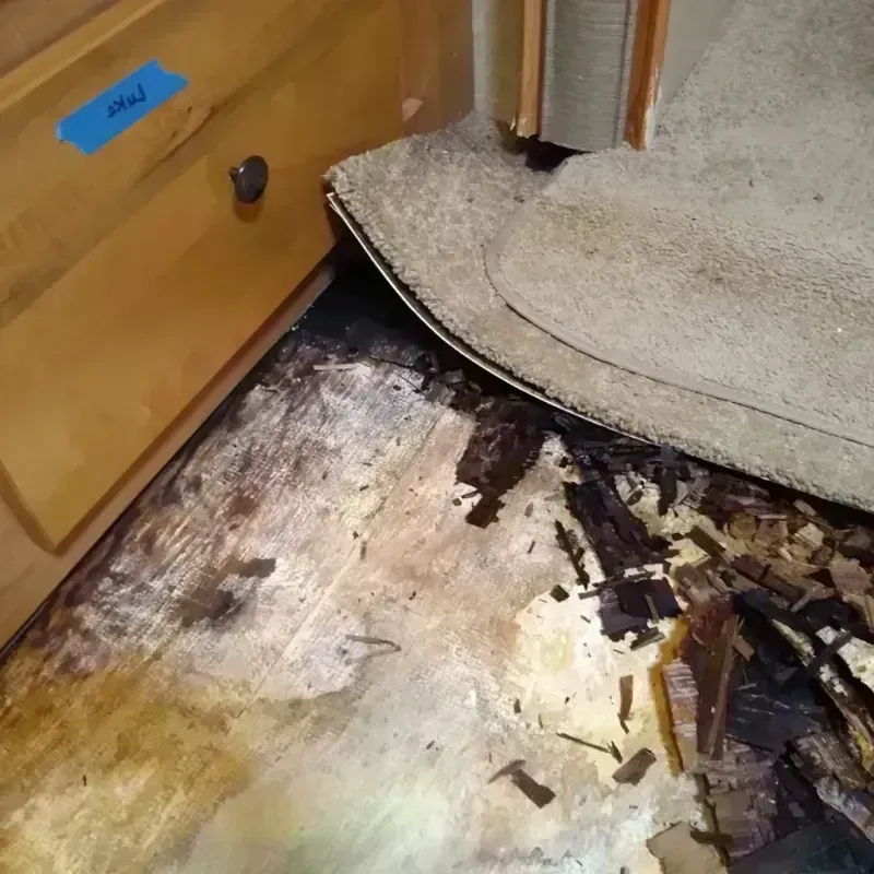 Wood Floor Water Damage in Fort Recovery, OH